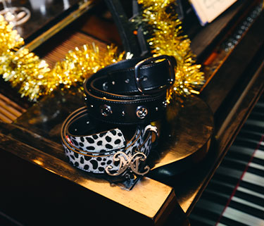 Dazzling Accessories Dazzling Accessories