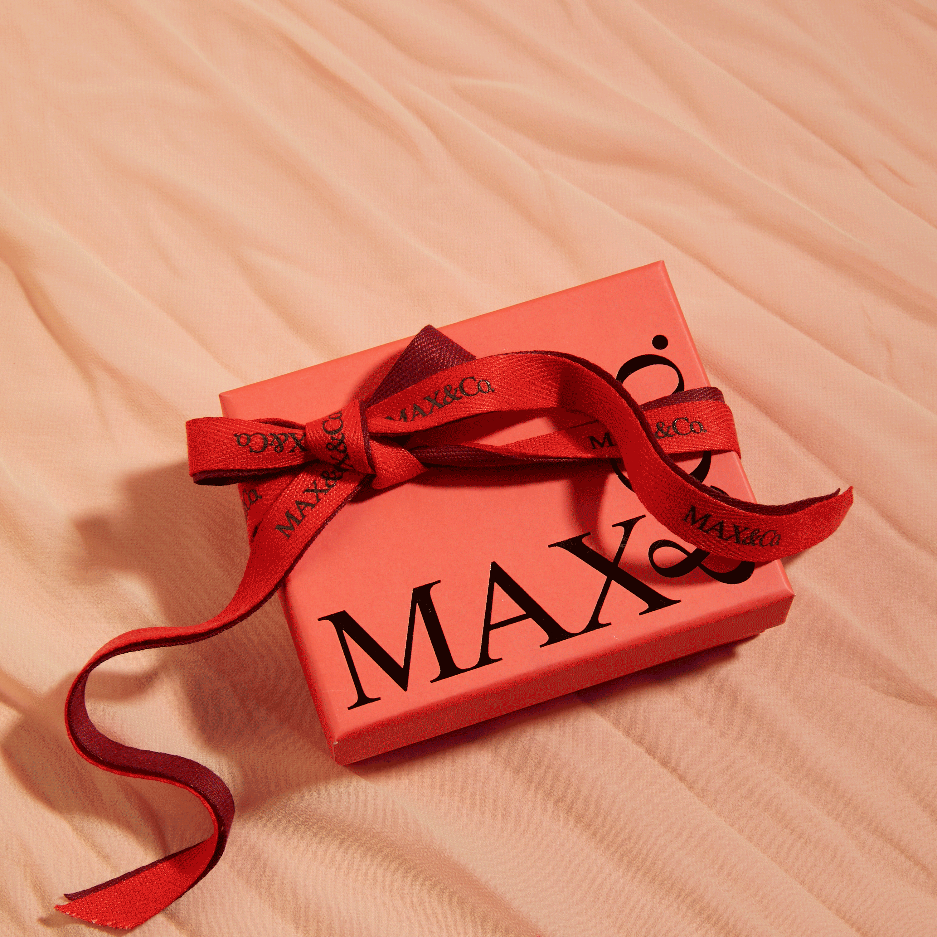 GIF BANNER 1 MAX&Co.